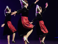 Agrandir l'image (fenêtre modale)