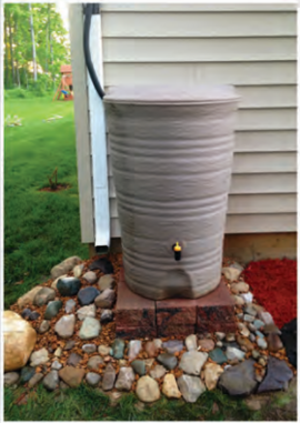 Agrandir l'image (fenêtre modale)