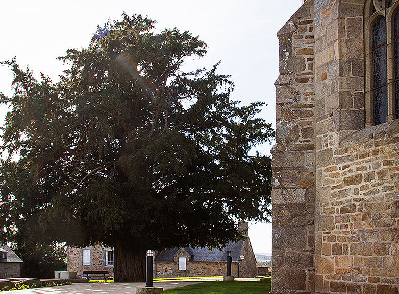 Agrandir l'image (fenêtre modale)