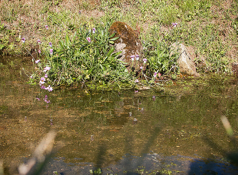 Agrandir l'image (fenêtre modale)